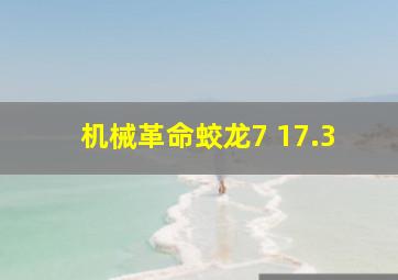 机械革命蛟龙7 17.3